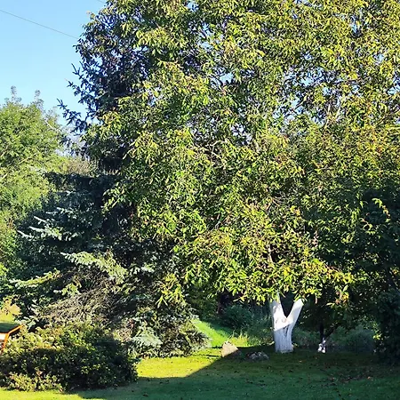 ,,aurora,, Lägenhet