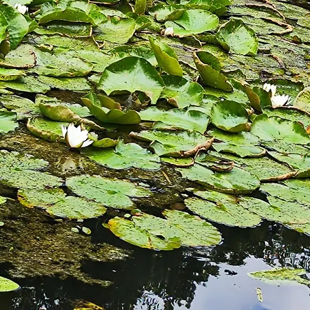 Apartment ,,aurora,, *