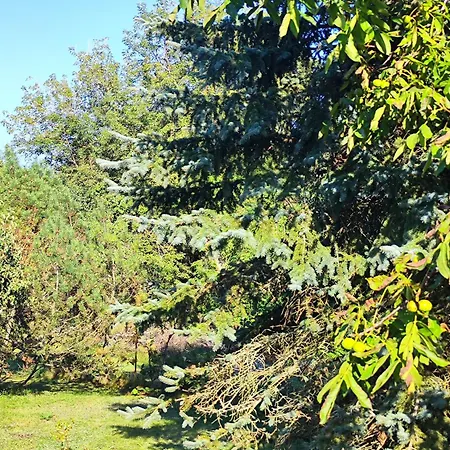 ,,aurora,, Apartment Wilna