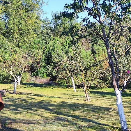 ,,aurora,, * Vilnius