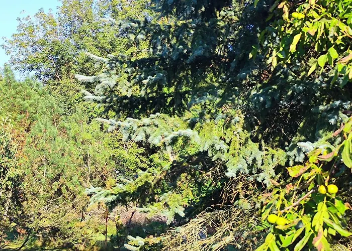 ,,aurora,, Appartement Vilnius