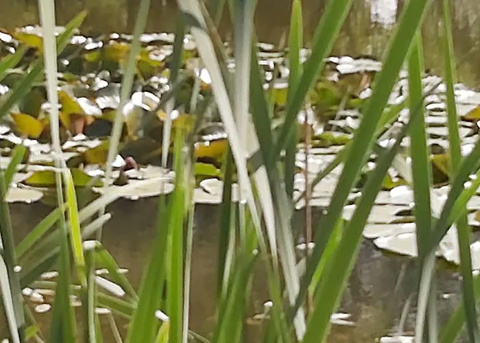 ,,aurora,, 公寓 维尔纽斯