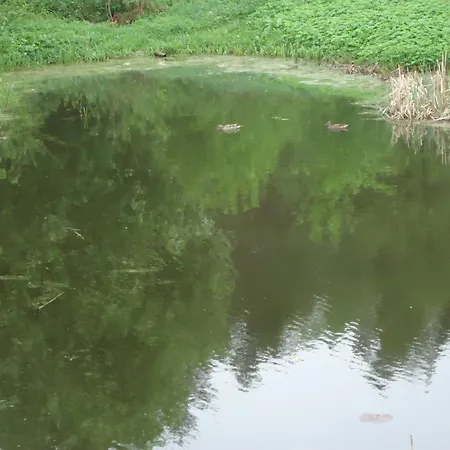 Apartment ,,aurora,, *