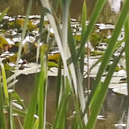 ,,aurora,, Apartment Wilna