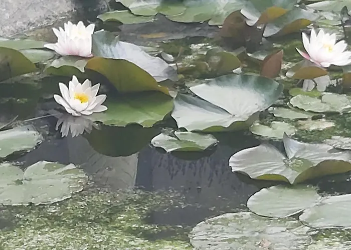 ,,aurora,, Апартаменти *